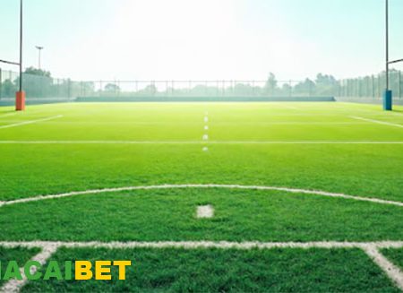 Kích thước sân bóng đá 11 người theo tiêu chuẩn Fifa